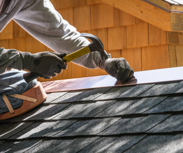 Best Roof Gutter Cleaning  in Lamesa, TX